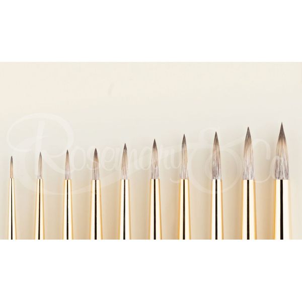 Rosemary & Co Brushes Eclipse Pointed Round